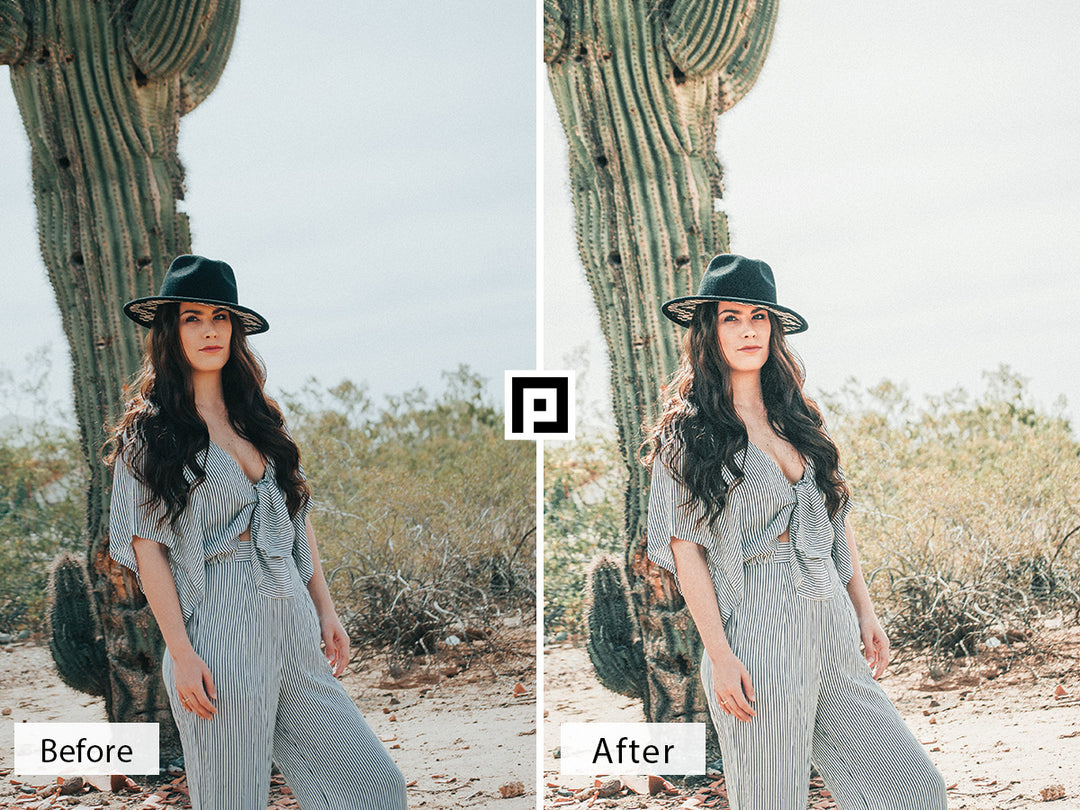 Joshua Tree Lightroom Mobile and Desktop Presets