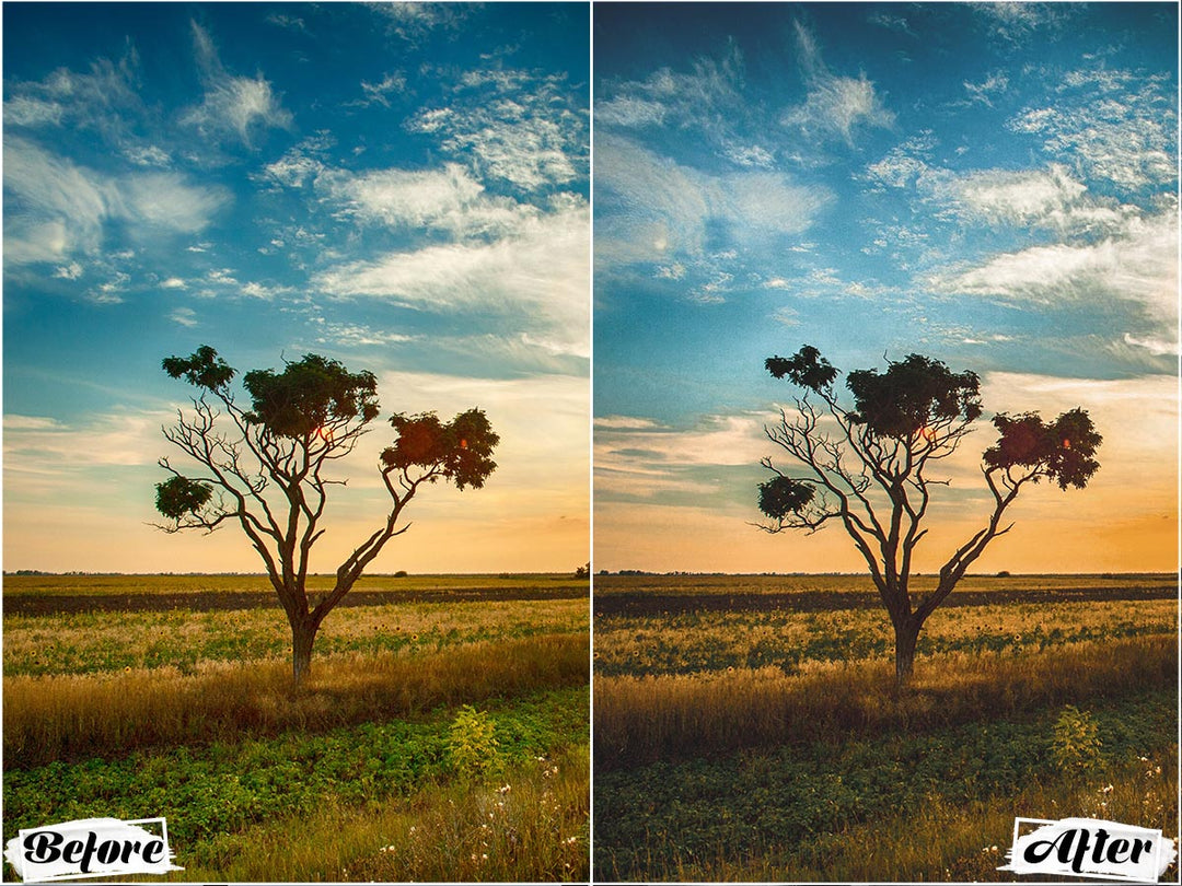 Landscape Preset Lightroom Mobile' 'Landscape lightroom presets' landscape presets'lightroom' 'adobe lightroom' 'lightroom presets' 'presets' 'free lightroom presets' 'lightroom presets free' 'presets for lightroom' 'free presets' 'best lightroom presets' 'free lightroom mobile presets' 'Free Desktop Lightroom Presets' 'photo presets' lightroom mobile presets 'best lightroom presets free' 'lightroom presets free download' 'LR Presets' 'Wedding Photography Presets' 'Lightroom Instagram presets' 'Video LUTs'