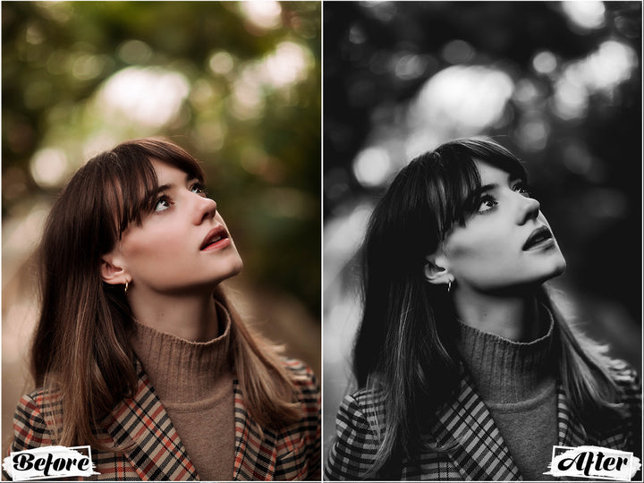 Monochrome Lightroom Presets For Mobile and Desktop Vol. 02