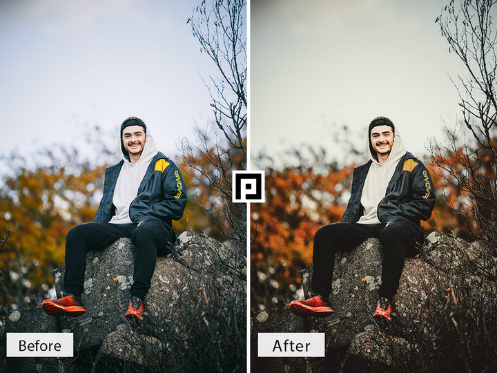 Moody Fall Vol. 2 Lightroom Mobile and Desktop Presets