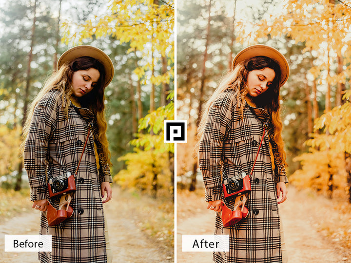 Moody Fall Vol. 2 Lightroom Mobile and Desktop Presets