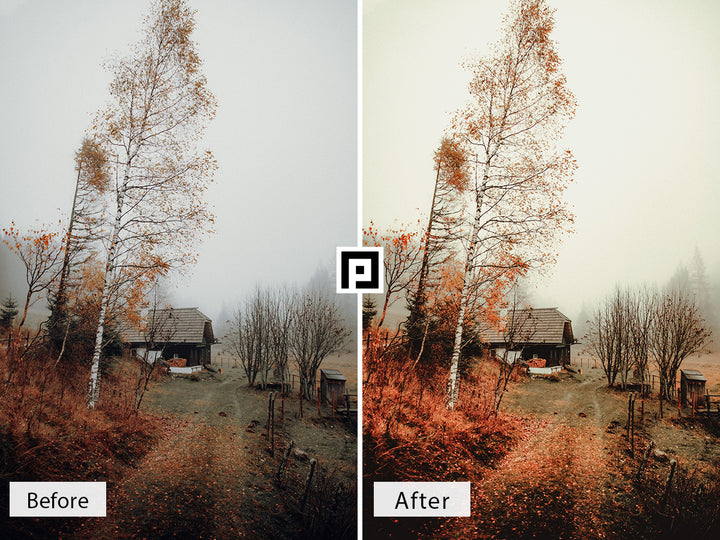 Moody Fall Vol. 2 Lightroom Mobile and Desktop Presets