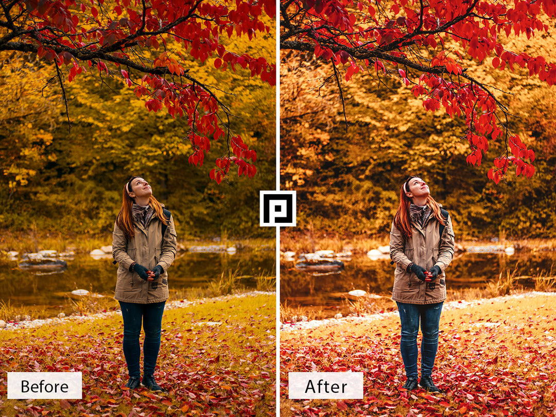 Moody Fall Vol. 2 Lightroom Mobile and Desktop Presets