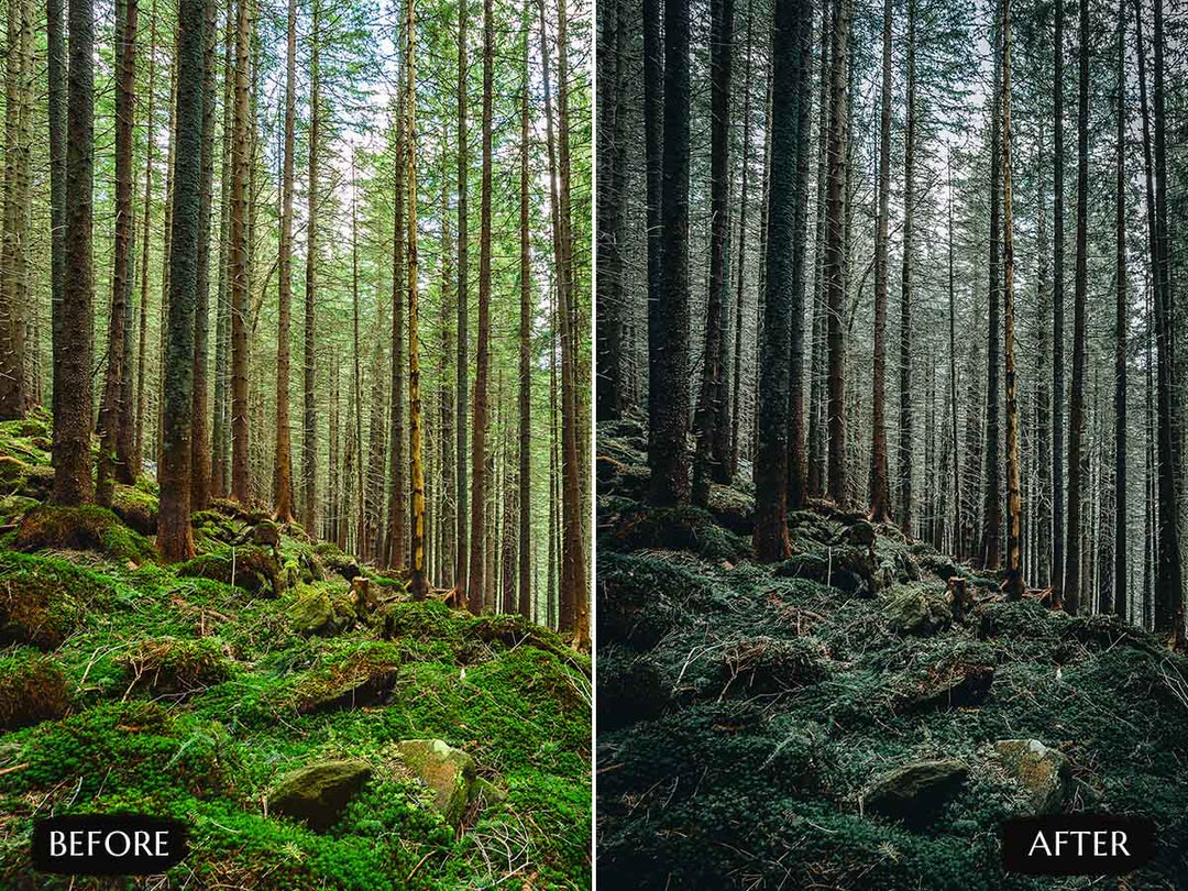 Moody Forest Lightroom Presets' moody forest lightroom' instagram LUTs' landscape presets'lightroom' 'adobe lightroom' 'lightroom presets' 'presets' 'free lightroom presets' 'lightroom presets free' 'presets for lightroom' 'free presets' 'best lightroom presets' 'free lightroom mobile presets' 'Free Desktop Lightroom Presets' 'photo presets' lightroom mobile presets 'best lightroom presets free' 'lightroom presets free download' 'LR Presets' 'Wedding Photography Presets'