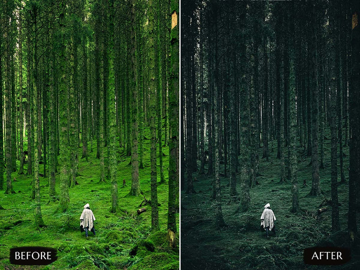 moody luts for premiere pro' free moody luts for premiere pro LUTs' instagram LUTs' landscape presets'lightroom' 'adobe lightroom' 'lightroom presets' 'presets' 'free lightroom presets' 'lightroom presets free' 'presets for lightroom' 'free presets' 'best lightroom presets' 'free lightroom mobile presets' 'Free Desktop Lightroom Presets' 'photo presets' lightroom mobile presets 'best lightroom presets free' 'lightroom presets free download' 'LR Presets' 'Wedding Photography Presets'