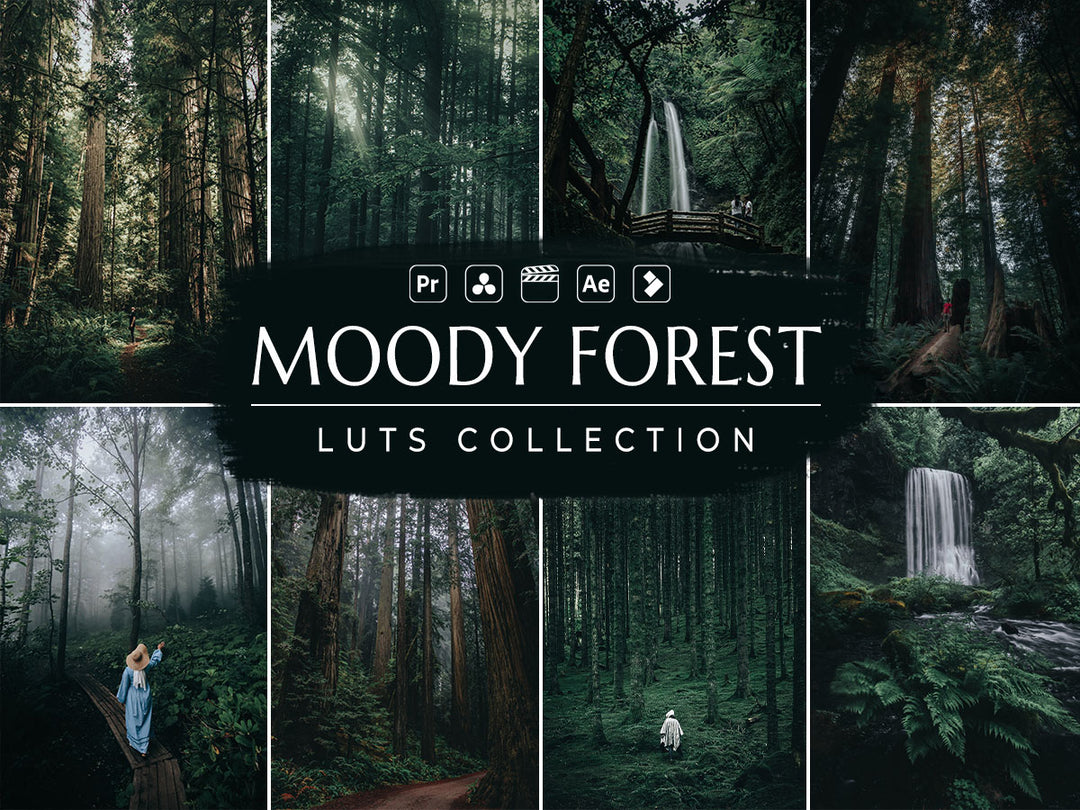 Moody Forest Video LUTs for Final Cut Pro, Premiere pro and Davinci Resolve