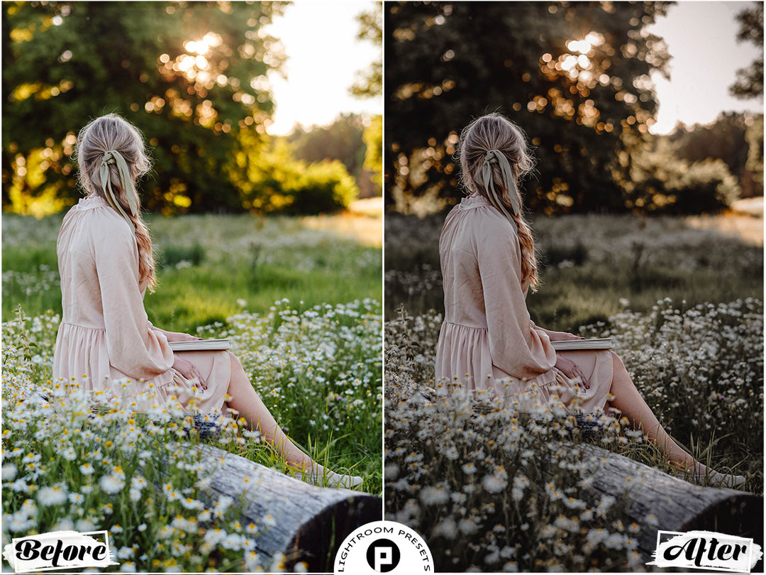 Moody Vol. 03  Lightroom Presets for Mobile and Desktop