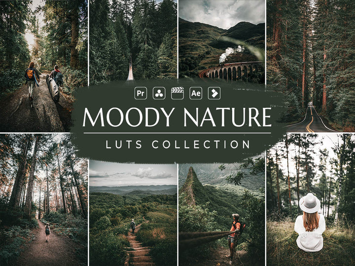 Moody Nature Video LUTs for Premiere Pro