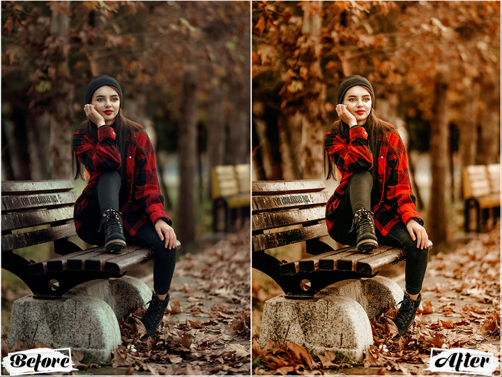 November Lightroom Presets For Mobile and Desktop