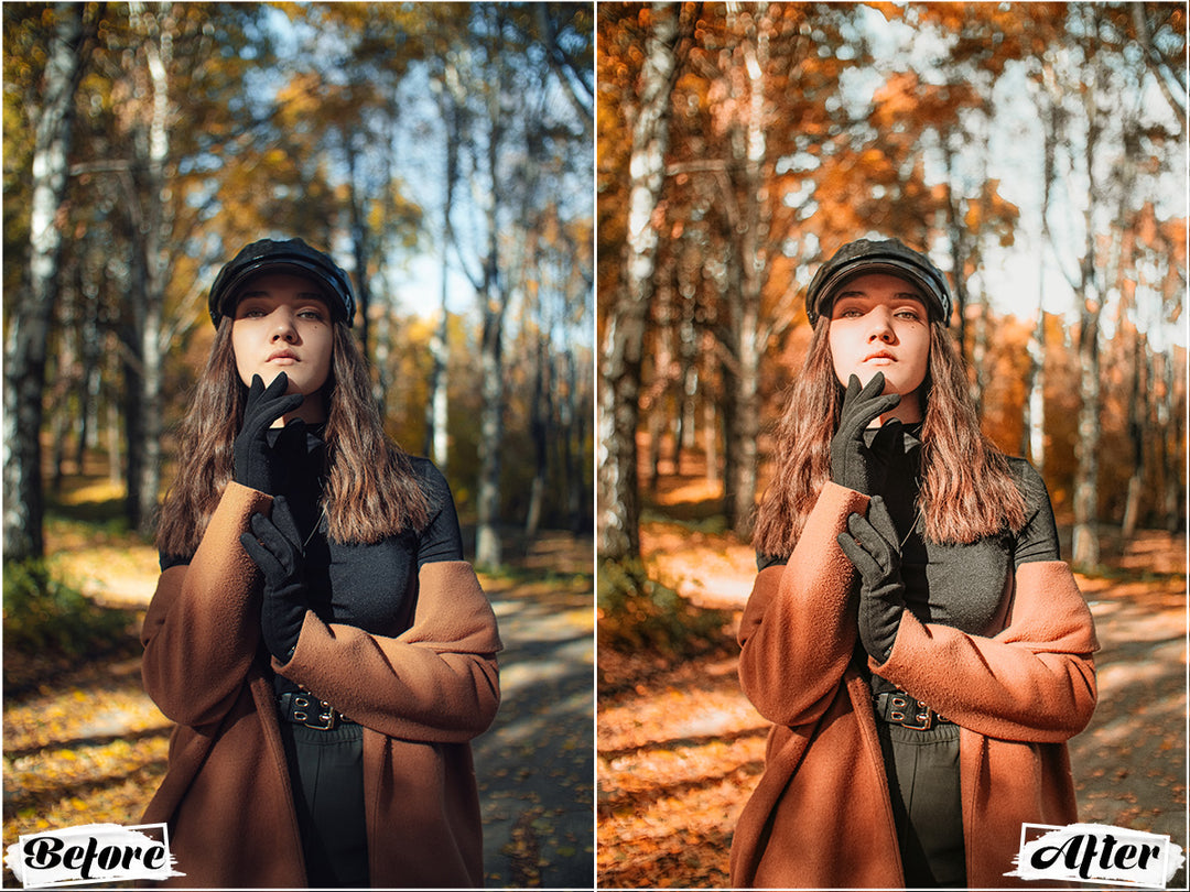 November Lightroom Presets For Mobile and Desktop