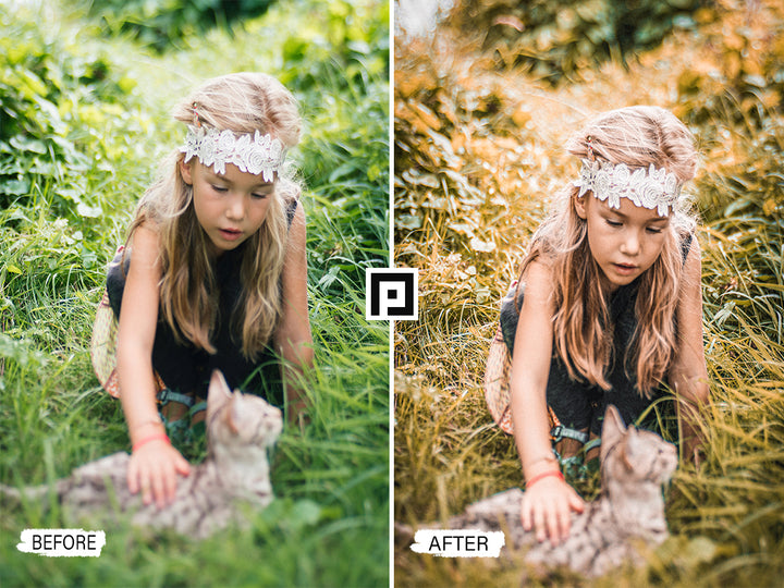 Olive Tones Lightroom Presets 'lightroom' 'adobe lightroom' 'lightroom presets' 'presets' 'free lightroom presets' 'lightroom presets free' 'presets for lightroom' 'best lightroom presets' 'free lightroom mobile presets' 'Free Desktop Lightroom Presets' 'photo presets' 'lightroom mobile presets 'best lightroom presets free' 'lightroom presets free download' 'LR Presets' 'Wedding Photography Presets' 'Lightroom Instagram presets' 'Video LUTs' 'Beach Lightroom Mobile Presets'