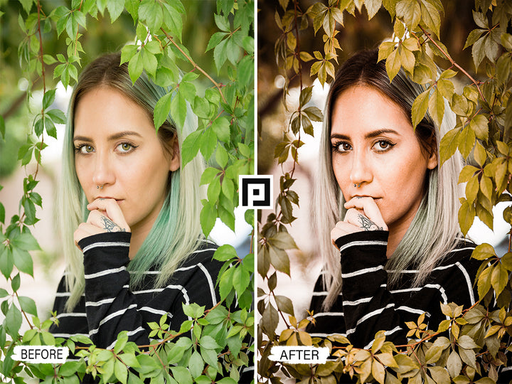 Olive Tones Lightroom Presets 'lightroom' 'adobe lightroom' 'lightroom presets' 'presets' 'free lightroom presets' 'lightroom presets free' 'presets for lightroom' 'best lightroom presets' 'free lightroom mobile presets' 'Free Desktop Lightroom Presets' 'photo presets' 'lightroom mobile presets 'best lightroom presets free' 'lightroom presets free download' 'LR Presets' 'Wedding Photography Presets' 'Lightroom Instagram presets' 'Video LUTs' 'Beach Lightroom Mobile Presets'