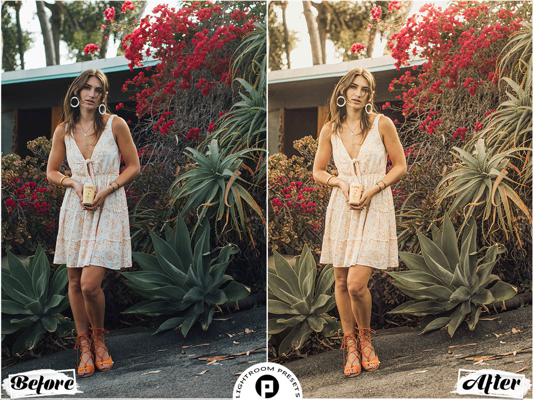 Palermo Lightroom Presets