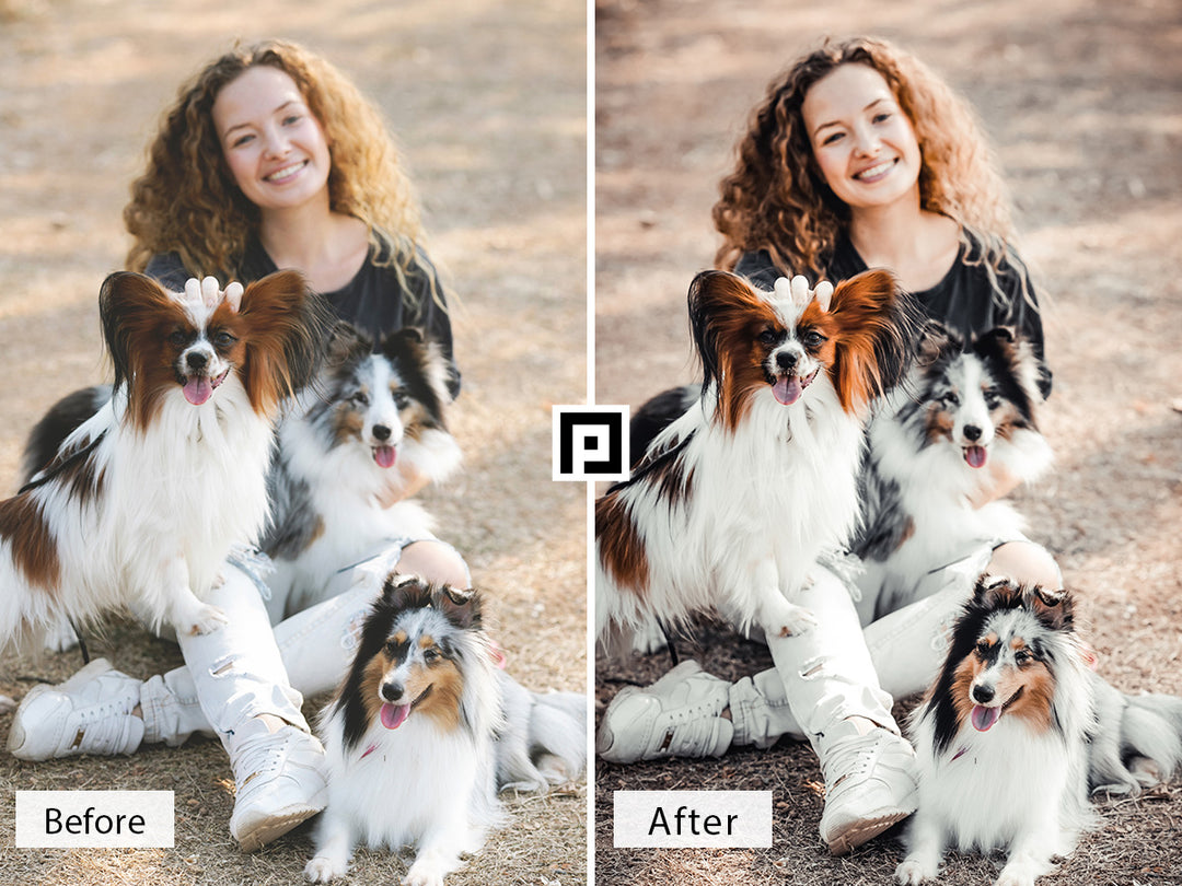 Pets Lightroom Presets For Mobile and Desktop