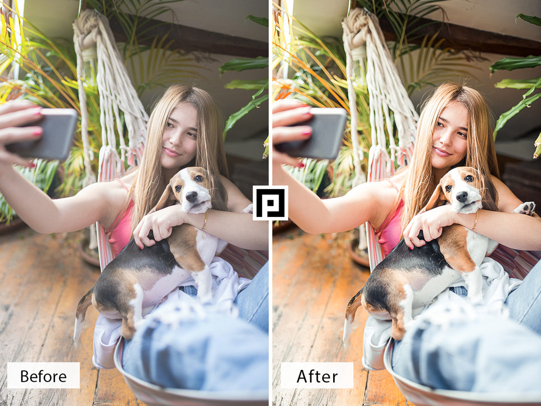 Pets Lightroom Presets For Mobile and Desktop