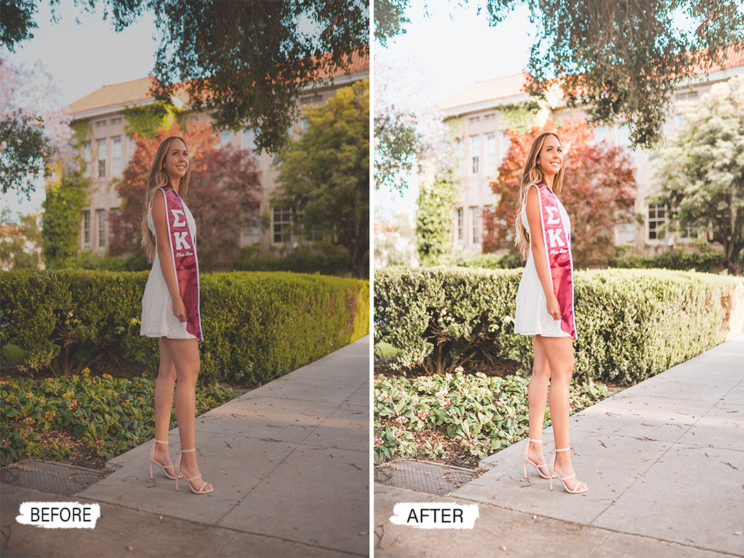 SORORITY Video LUTs | Pixmellow