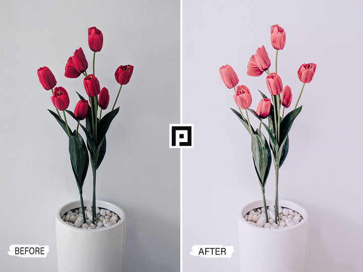 Light Airy Spring Video LUTs | Pixmellow