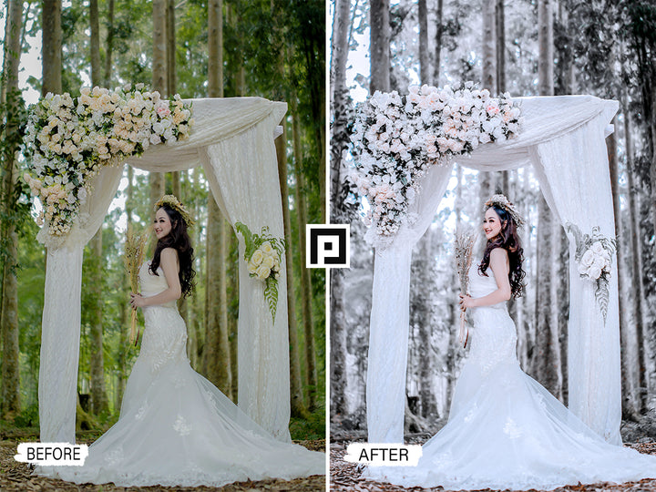 'lightroom' 'adobe lightroom' 'lightroom presets' 'presets' 'free lightroom presets' 'lightroom presets free' 'presets for lightroom' 'free presets' 'best lightroom presets' 'free lightroom mobile presets' 'Free Desktop Lightroom Presets' 'photo presets' 'lightroom mobile presets' 'best lightroom presets free' 'lightroom presets free download' 'LR Presets' 'Wedding Photography Presets' 'Lightroom Instagram presets' 'Video LUTs' 'free Video LUTs for Premiere Pro'