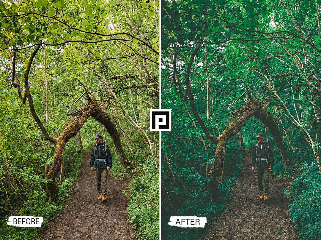 'lightroom' 'adobe lightroom' 'lightroom presets' 'presets' 'free lightroom presets' 'lightroom presets free' 'presets for lightroom' 'free presets' 'best lightroom presets' 'free lightroom mobile presets' 'Free Desktop Lightroom Presets' 'photo presets' 'lightroom mobile presets' 'best lightroom presets free' 'lightroom presets free download' 'LR Presets' 'Wedding Photography Presets' 'Lightroom Instagram presets' 'Video LUTs' 'free Video LUTs for Premiere Pro'