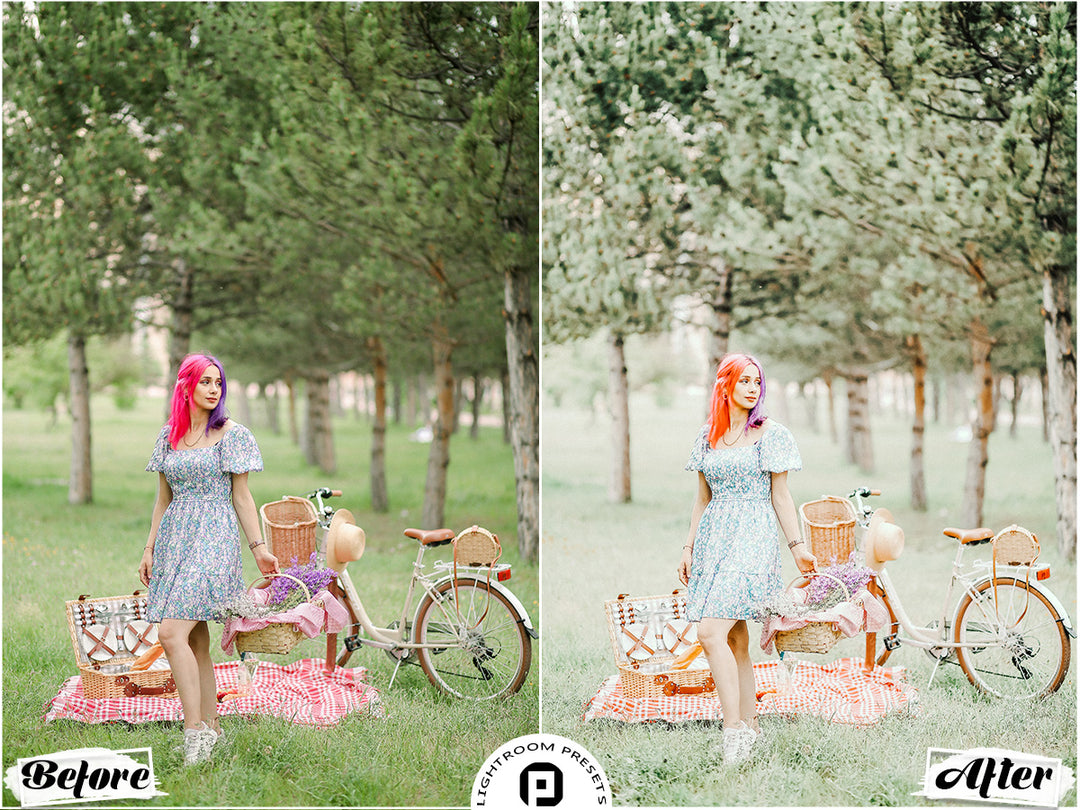 Provence Lightroom Presets for Mobile and Desktop