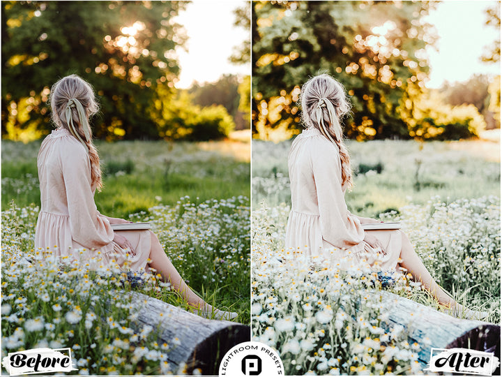 Provence Lightroom Presets for Mobile and Desktop