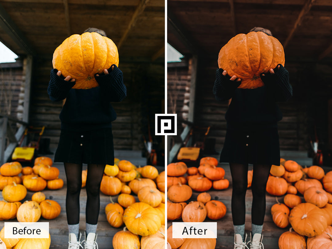 Pumpkin Lightroom Presets For Mobile and Desktop