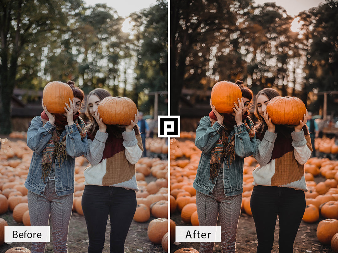 Pumpkin Lightroom Presets For Mobile and Desktop