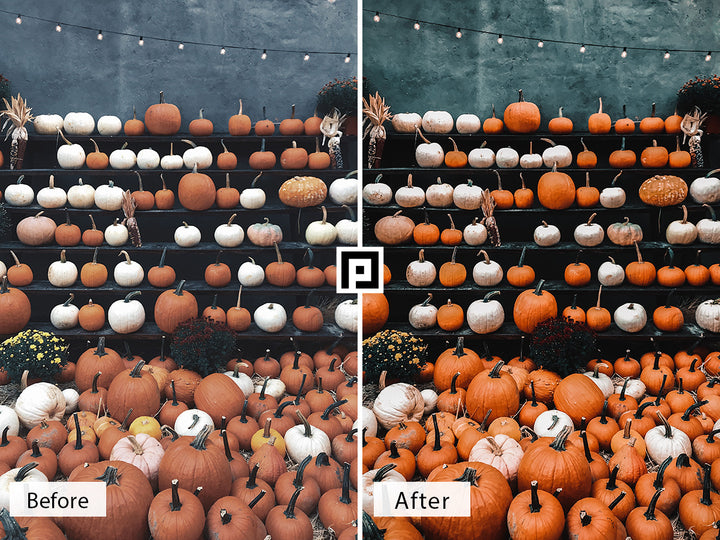 Pumpkin Lightroom Presets For Mobile and Desktop