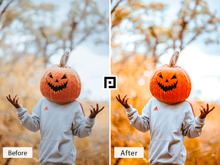 Pumpkin Patch Lightroom Mobile and Desktop Presets