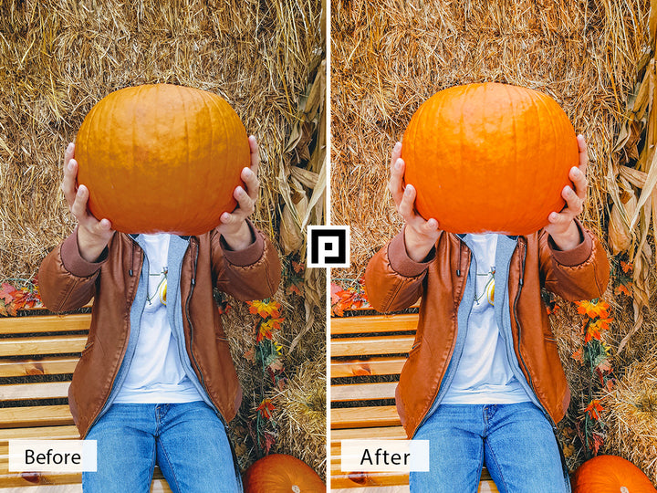 Pumpkin Patch Lightroom Mobile and Desktop Presets