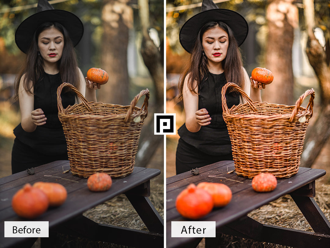 Pumpkin Patch Lightroom Mobile and Desktop Presets