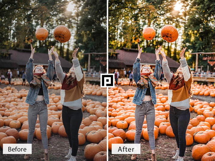 Pumpkin Patch Lightroom Mobile and Desktop Presets