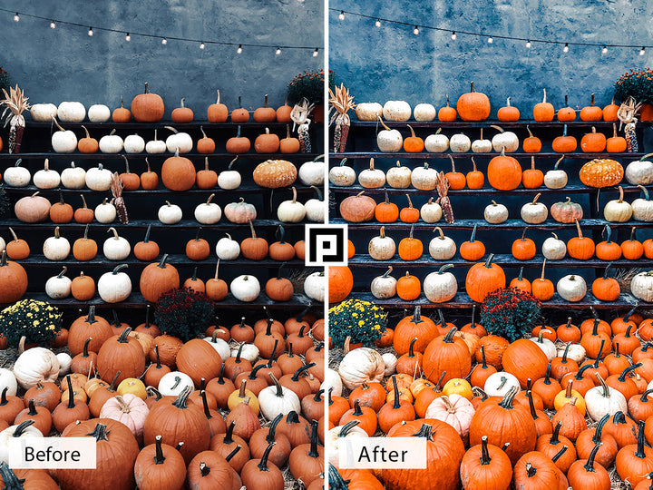 Pumpkin Patch Lightroom Mobile and Desktop Presets