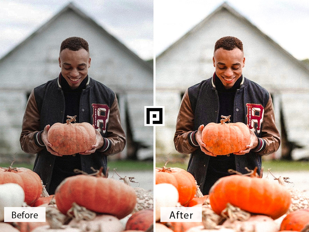 Pumpkin Patch Lightroom Mobile and Desktop Presets