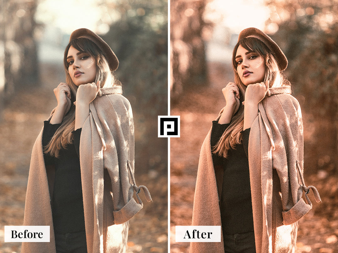 Rich Autumn Video LUTs | Pixmellow