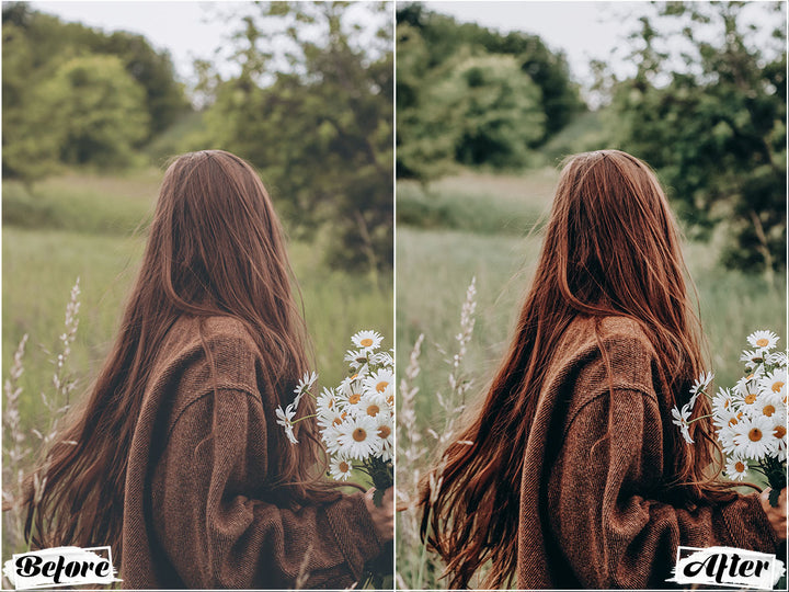 rich and moody presets