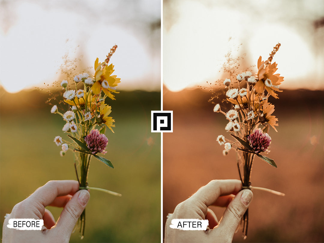 Rustic Fall Moody Video LUTs | Pixmellow