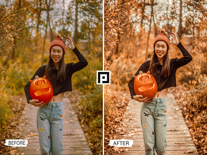 Fall Moody Video LUTs 'lightroom' 'adobe lightroom' 'lightroom presets' 'presets' 'free lightroom presets' 'lightroom presets free' 'presets for lightroom' 'best lightroom presets' 'free lightroom mobile presets' 'Free Desktop Lightroom Presets' 'photo presets' 'lightroom mobile presets 'best lightroom presets free' 'lightroom presets free download' 'LR Presets' 'Wedding Photography Presets' 'Lightroom Instagram presets' 'Video LUTs' 'Beach Lightroom Mobile Presets'