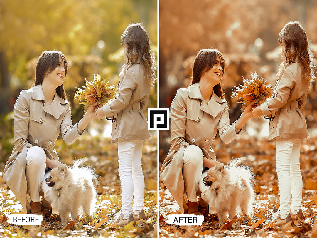 Fall Moody Video LUTs 'lightroom' 'adobe lightroom' 'lightroom presets' 'presets' 'free lightroom presets' 'lightroom presets free' 'presets for lightroom' 'best lightroom presets' 'free lightroom mobile presets' 'Free Desktop Lightroom Presets' 'photo presets' 'lightroom mobile presets 'best lightroom presets free' 'lightroom presets free download' 'LR Presets' 'Wedding Photography Presets' 'Lightroom Instagram presets' 'Video LUTs' 'Beach Lightroom Mobile Presets'