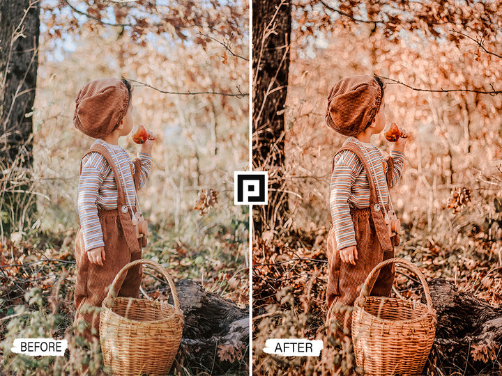 Fall Moody Video LUTs 'lightroom' 'adobe lightroom' 'lightroom presets' 'presets' 'free lightroom presets' 'lightroom presets free' 'presets for lightroom' 'best lightroom presets' 'free lightroom mobile presets' 'Free Desktop Lightroom Presets' 'photo presets' 'lightroom mobile presets 'best lightroom presets free' 'lightroom presets free download' 'LR Presets' 'Wedding Photography Presets' 'Lightroom Instagram presets' 'Video LUTs' 'Beach Lightroom Mobile Presets'