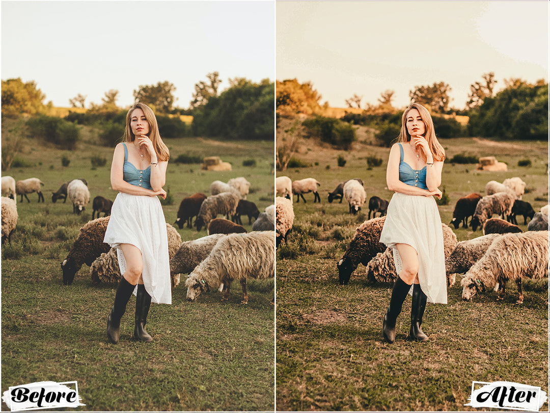 Rustic Vibe Lightroom Presets For Mobile and Desktop