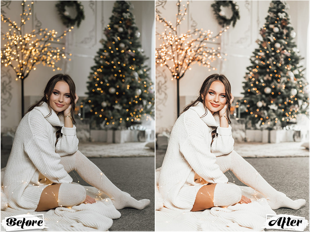 Rustic Winter Video LUTs