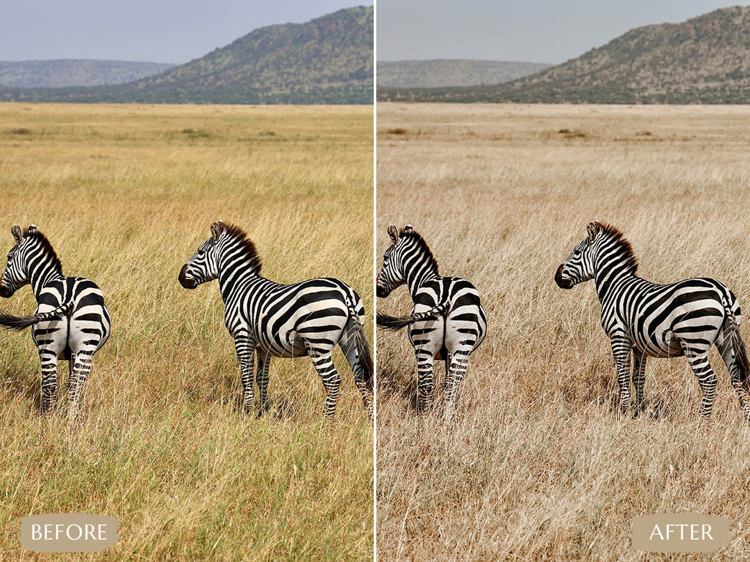 Safari Lightroom Presets' safari presets' lightroom safari presets' 'landscape presets'lightroom' 'adobe lightroom' 'lightroom presets' 'presets' 'free lightroom presets' 'lightroom presets free' 'presets for lightroom' 'free presets' 'best lightroom presets' 'free lightroom mobile presets' 'Free Desktop Lightroom Presets' 'photo presets' lightroom mobile presets 'best lightroom presets free' 'lightroom presets free download' 'LR Presets' 