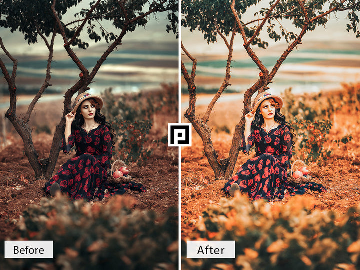 Vibrant Autumn Lightroom Mobile and Desktop Presets | Pixmellow