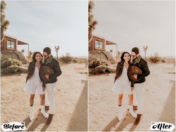 Wild Lightroom Presets for Mobile and Desktop