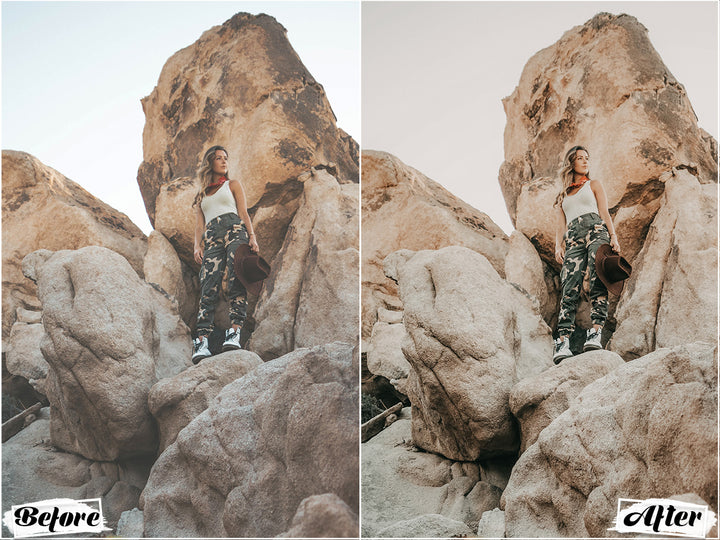 Wild Lightroom Presets for Mobile and Desktop