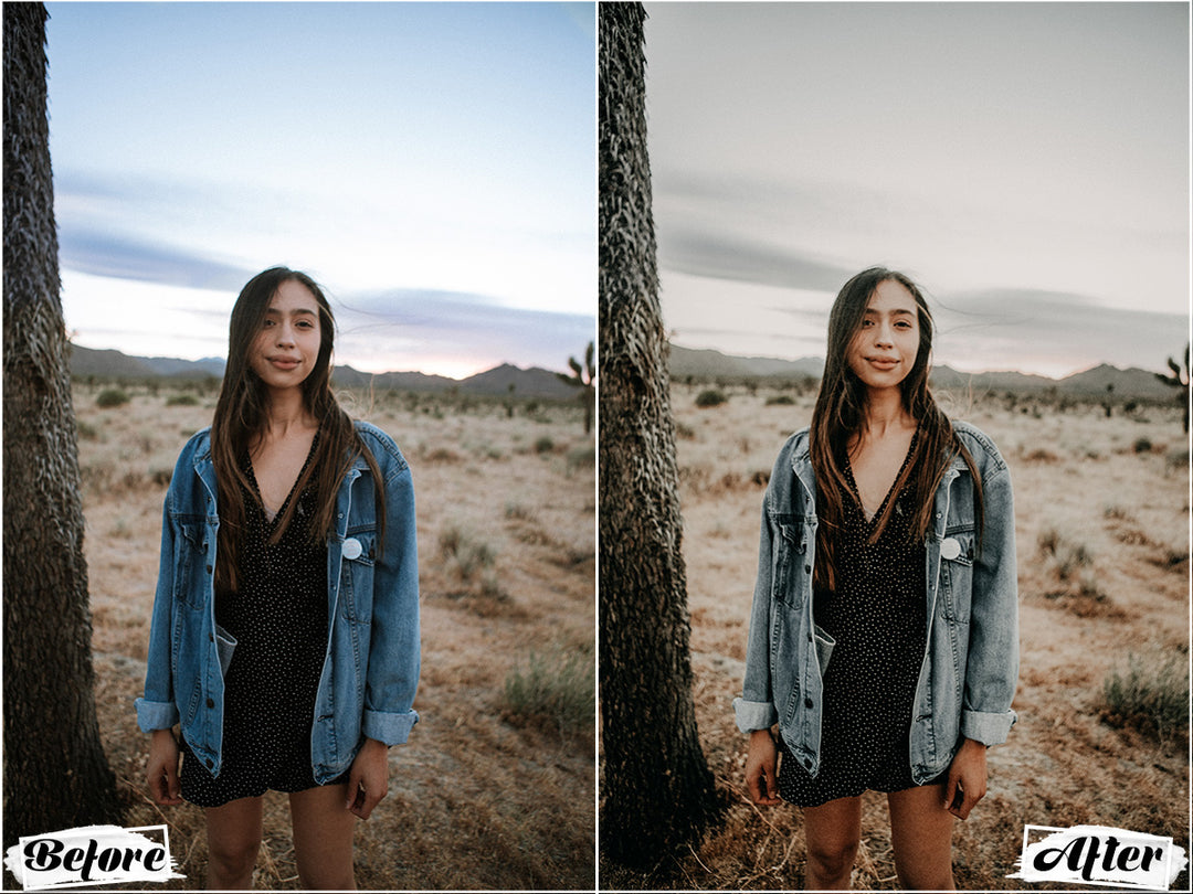 Wild Lightroom Presets for Mobile and Desktop