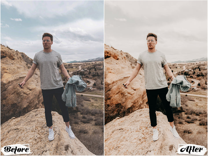 Wild Lightroom Presets for Mobile and Desktop