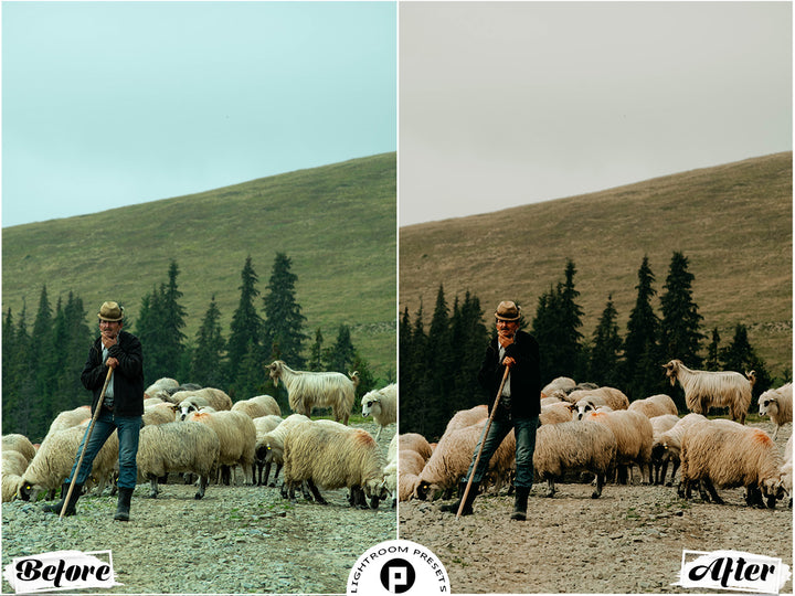 Wild West Lightroom Presets for Mobile & Desktop