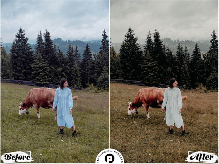 Wild West Lightroom Presets for Mobile & Desktop